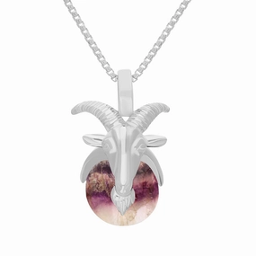 18ct White Gold Blue John Zodiac Capricorn 9mm Bead Pendant