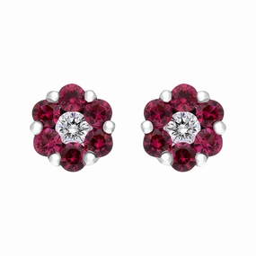 18ct White Gold Ruby Diamond Cluster Stud Earrings