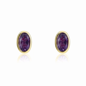 9ct Yellow Gold Amethyst 5x3mm Oval Rub Over Set Stud Earrings