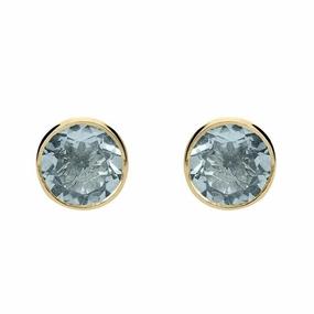 9ct Yellow Gold Aquamarine 5mm Round Rub Over Set Stud Earrings