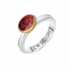 9ct Yellow Gold Sterling Silver Garnet Stepping Stones 6x8mm Oval Bezel Set Ring