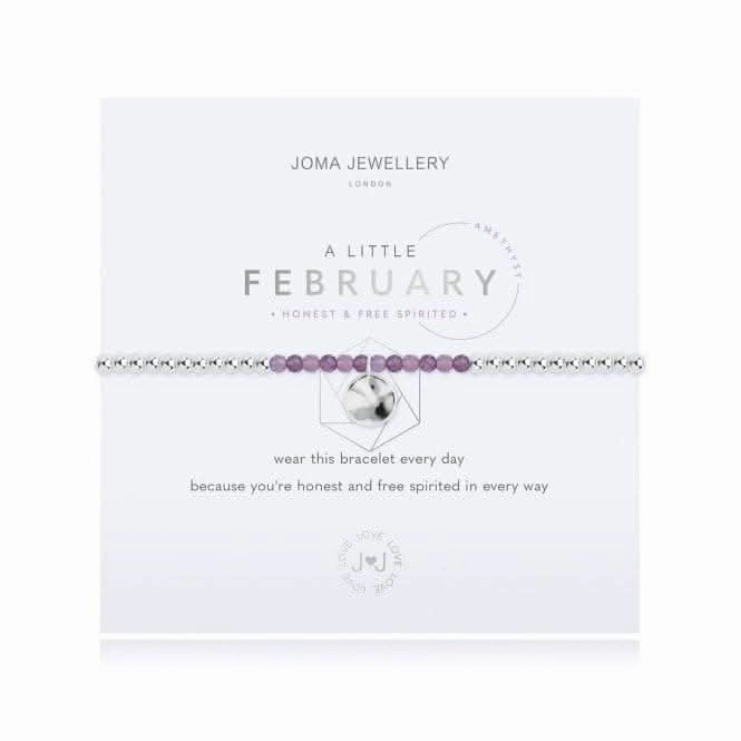 A Little Birthstone February Amethyst Silver 17.5cm Stretch Bracelet 3461