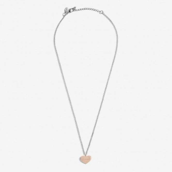 A Little Friend For Life Silver Rose Gold Plated 46cm   5cm Necklace 6831