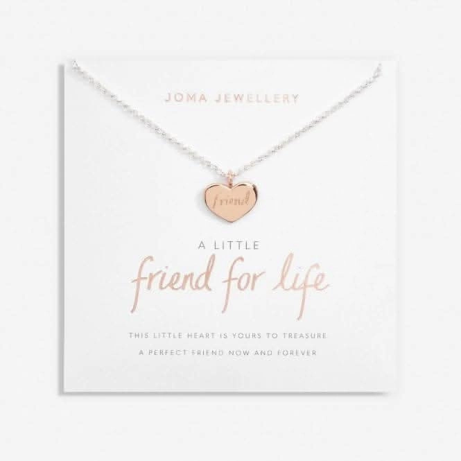 A Little Friend For Life Silver Rose Gold Plated 46cm   5cm Necklace 6831