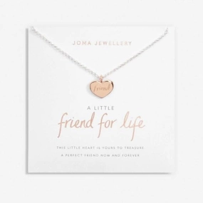 A Little Friend For Life Silver Rose Gold Plated 46cm   5cm Necklace 6831