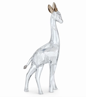 African Sunset Giraffe Nohea