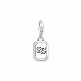 Aquarius zodiac sign silver charm Pendant