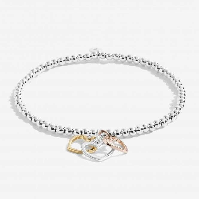 Beautifully Boxed A Little Beautiful Friend Bracelet 5029
