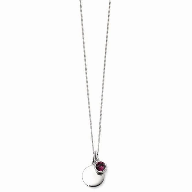 Beginnings Sterling Silver February Birth Stone Pendant P4591
