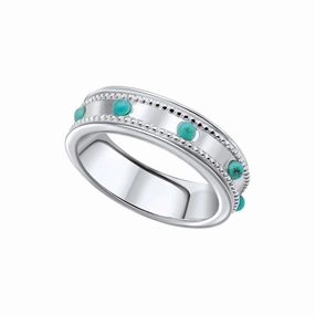 Beginnings Sterling Silver Turquoise Spinner Ring R3901T