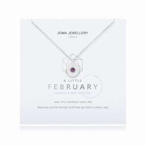 Birthstone a little February Amethyst Necklace 4655