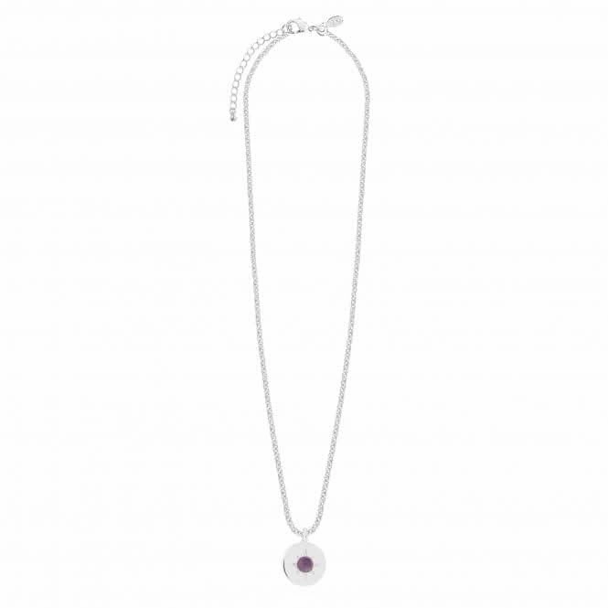 Birthstone a little February Amethyst Necklace 4655