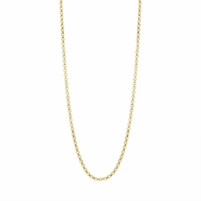 Cameo Italy Sterling Silver Yellow Gold Plated 45cm Chain D