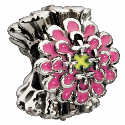 Chamilia Charm Blooming Zinnia Pink