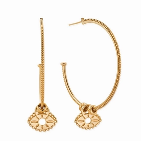 ChloBo Gold Visionary Hoops GEH3475