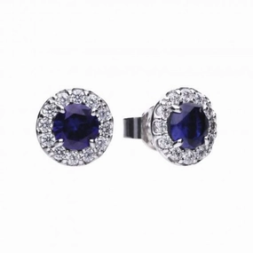 Diamonfire Silver Blue Zirconia Round Earrings E5598