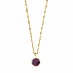 Dyrberg/Kern Ette SG Purple Necklace