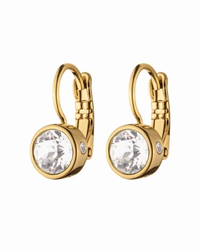 Dyrberg/Kern Madu SG Crystal Earring