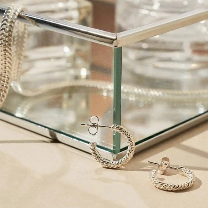 Entwined Passion Hoop Earrings SEH3208