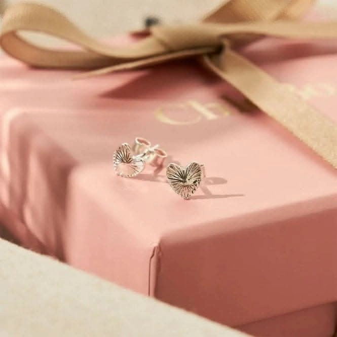 Glowing Beauty Stud Earrings SEST3216