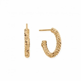 Gold Entwined Passion Hoop Earrings GEH3209