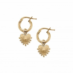 Gold Glowing Beauty Small Hoop Earrings GEH3197