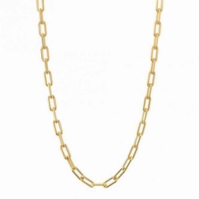 Gold Plated Link Chain Charm Carrier Necklace N4525