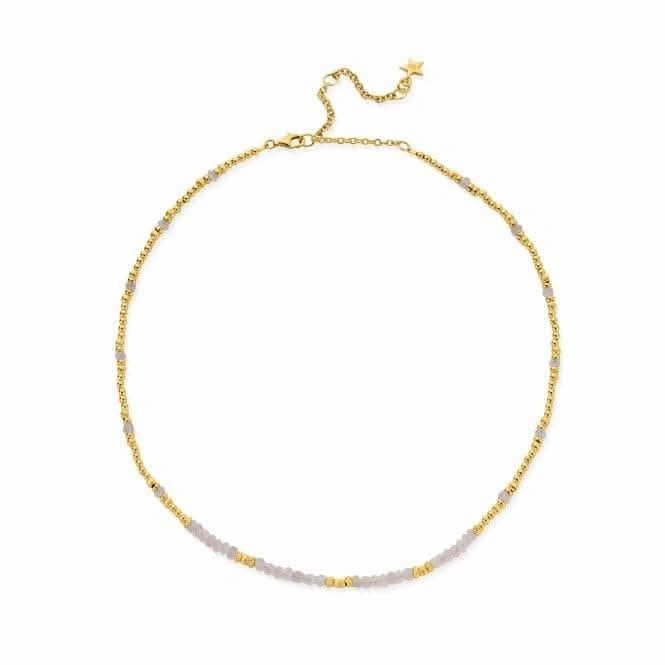Gold Summer of Love Rose Quartz Choker Necklace GNRQPDS