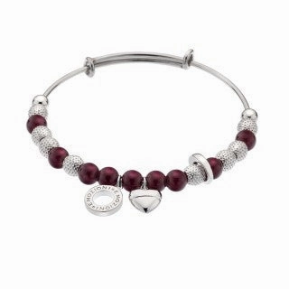 Hot Diamonds Emozioni Silver Plum Bangle