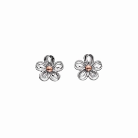 Hot Diamonds Forget Me Not Sterling Silver Flower Stud Earrings