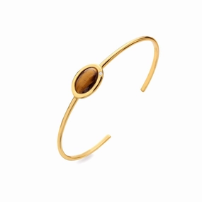 Hot Diamonds Gold Plated Sterling Silver Tigers Eye Bangle