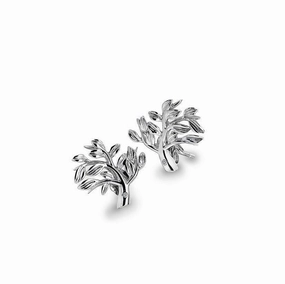 Hot Diamonds Passionate Sterling Silver Earrings D