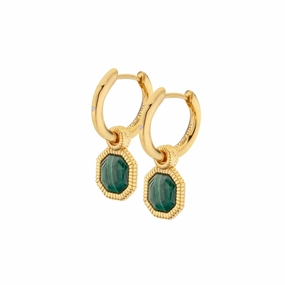 Hot Diamonds x Jac Jossa Revive Gold Plated Sterling Silver Malachite Earrings