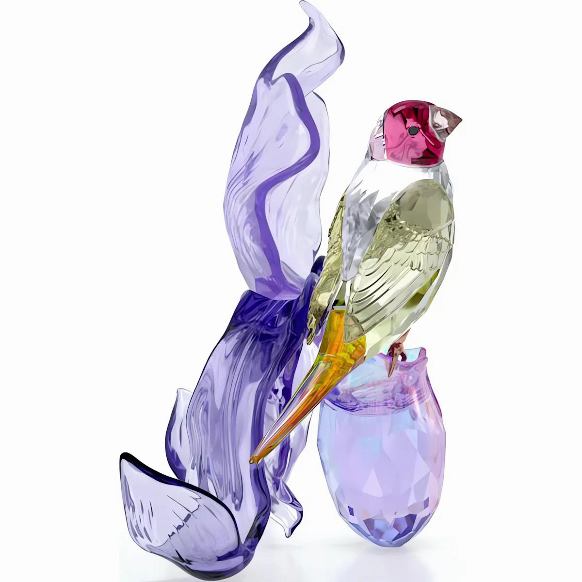Idyllia Gouldian Finch and Orchid