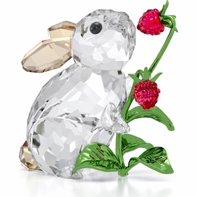 Idyllia Rabbit and Raspberries