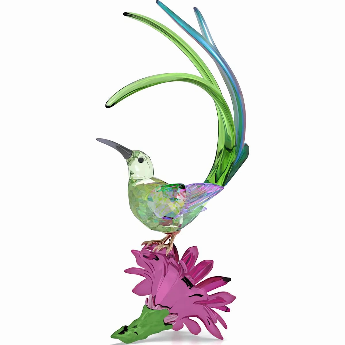 Idyllia Sugarbird and Cactus Flower