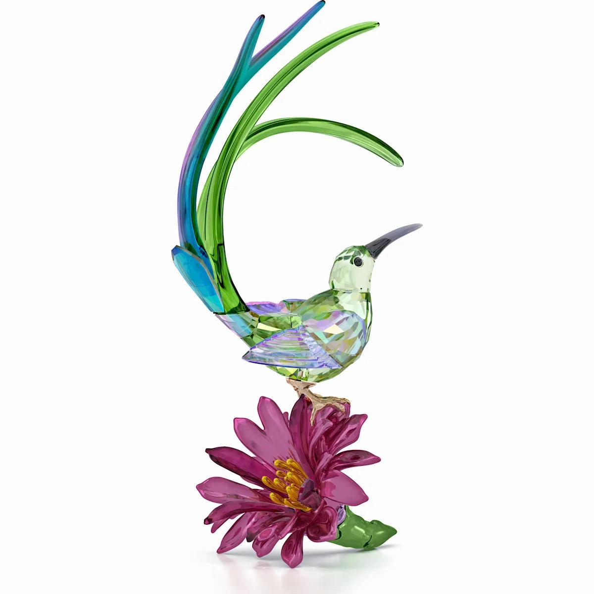 Idyllia Sugarbird and Cactus Flower