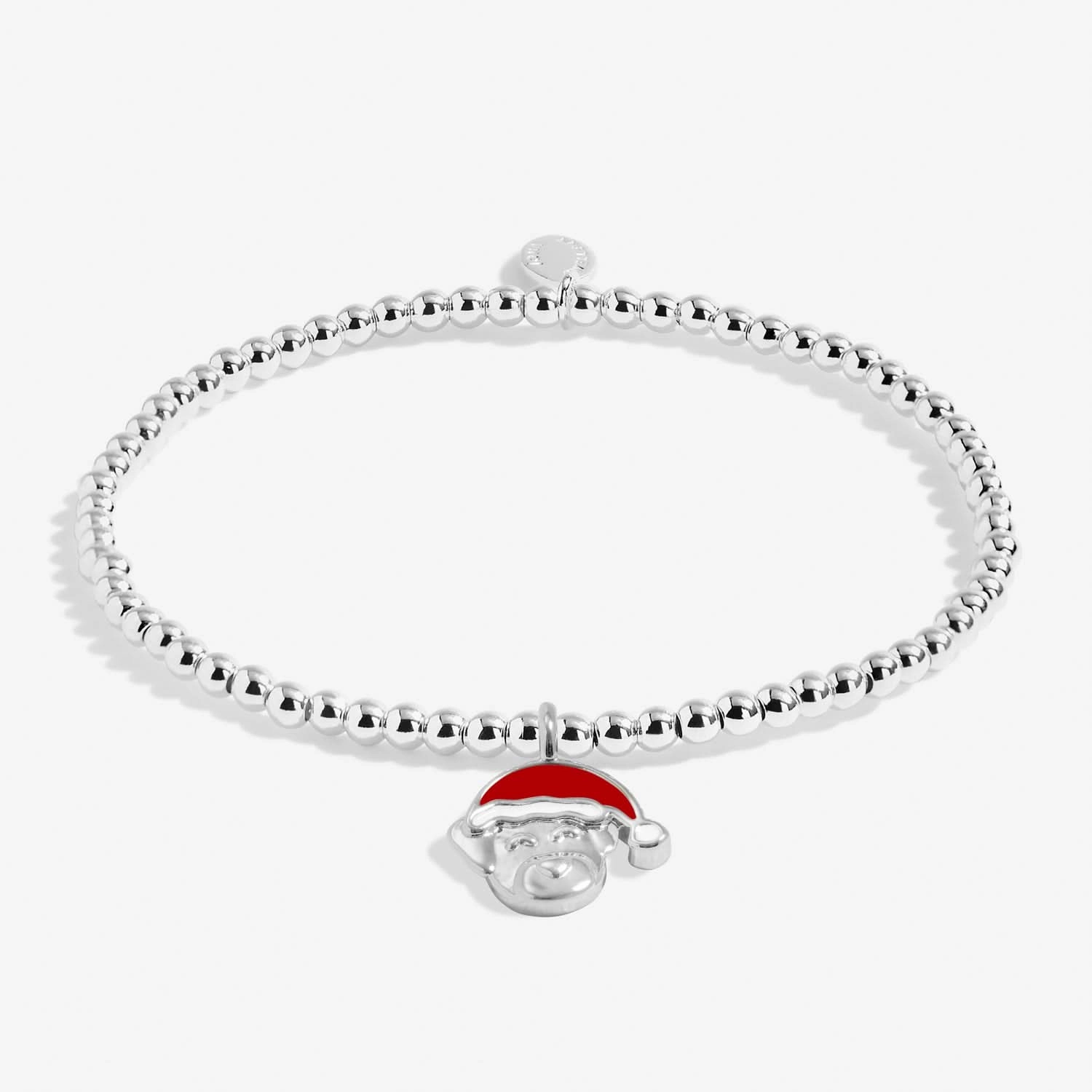 Kids Christmas A Little Santa Paws Silver Plated Bracelet C758