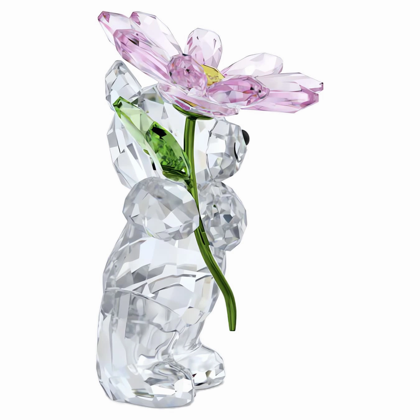 Kris Bear A Daisy for You