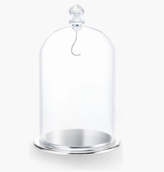 Large Bell Jar Display