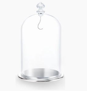 Large Bell Jar Display
