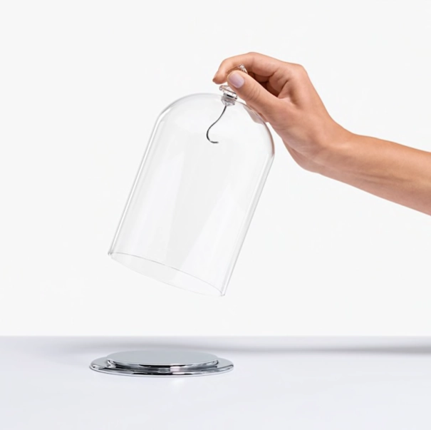 Large Bell Jar Display