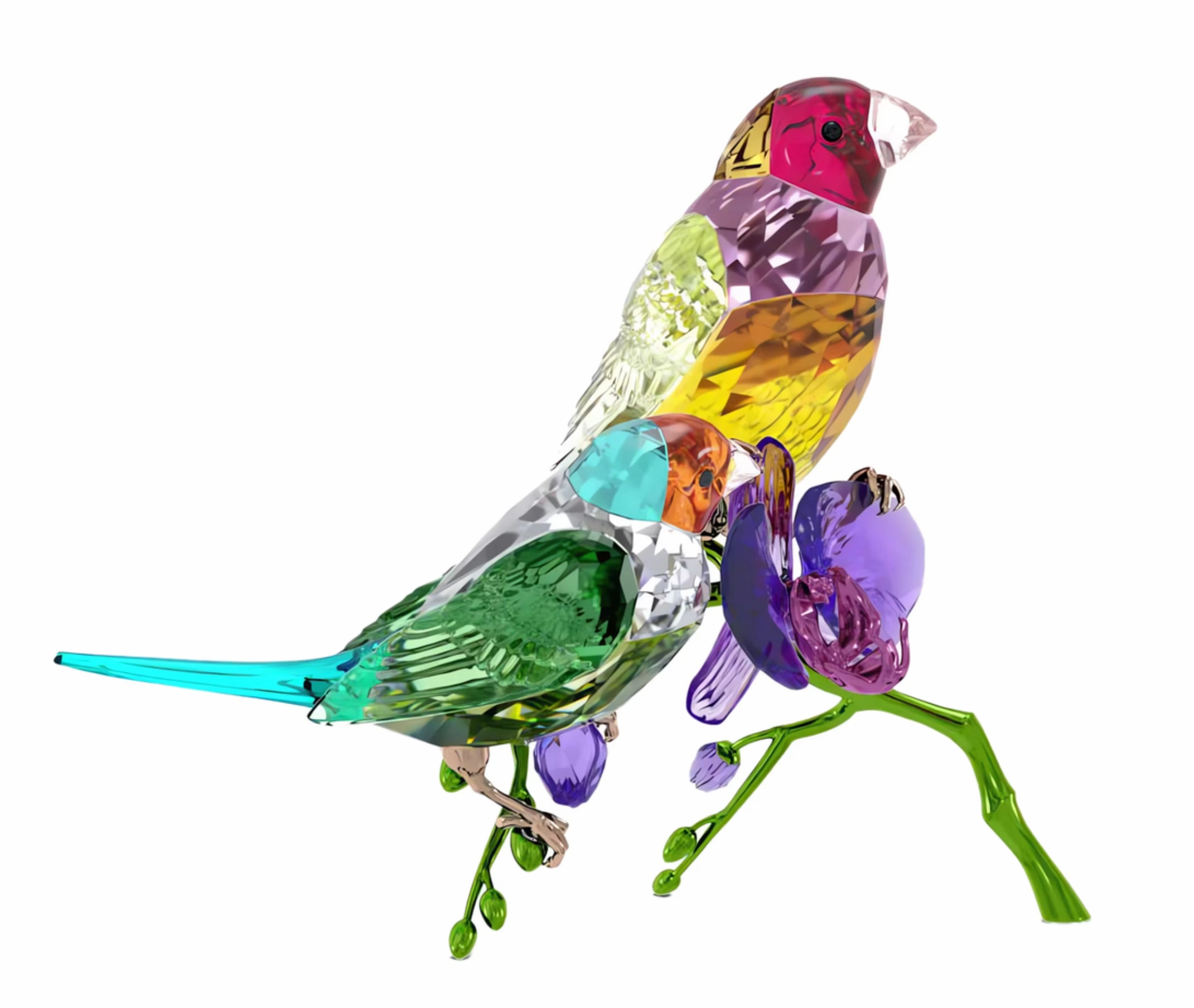 Ldyllia SCS Annual Edition 2024 Gouldian Finches
