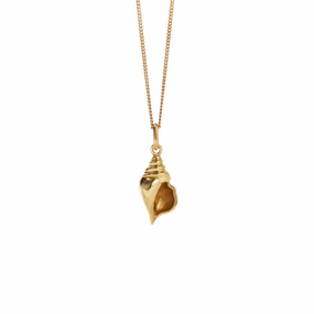 Meadowlark - Conch Charm Necklace Gold Plated