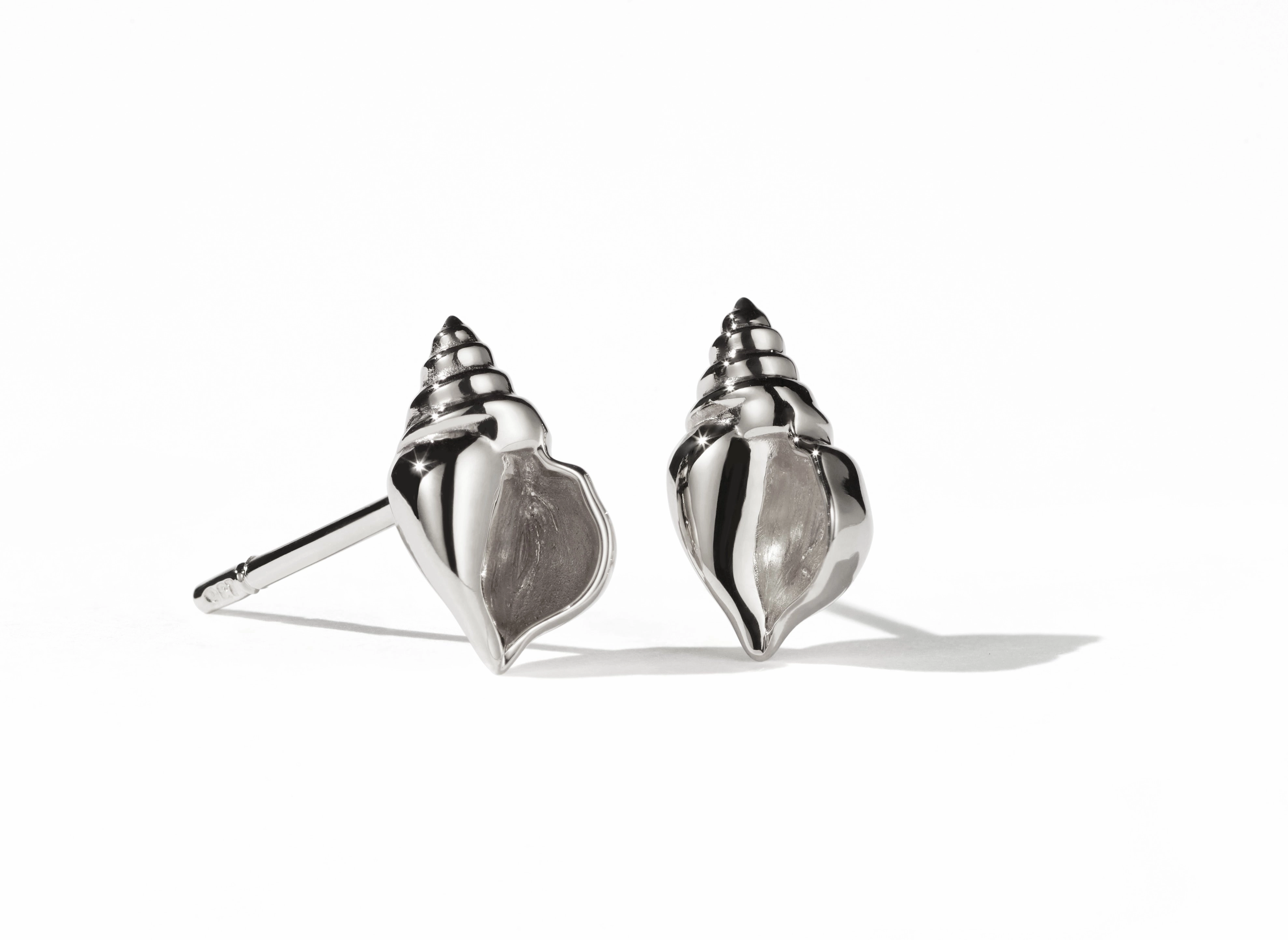 Meadowlark - Conch Stud Earrings Silver