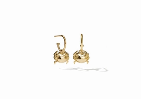 Meadowlark - Crab Signature Hoops Gold Plated