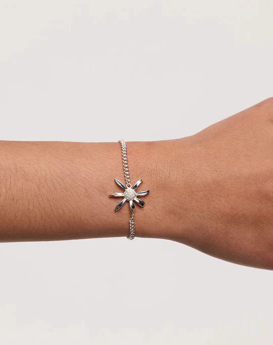 Meadowlark - Daisy Charm Bracelet 17cm Sterling Silver
