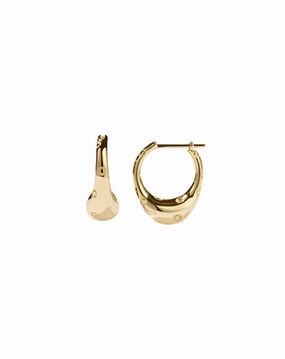 Meadowlark - Hoop Earrings Small Gold Plated