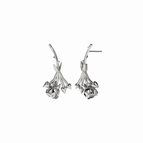Meadowlark - Rose Studs Sterling Silver