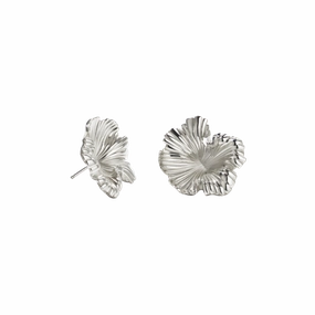 Meadowlark Coral Earrings Medium